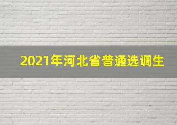 2021年河北省普通选调生