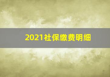 2021社保缴费明细