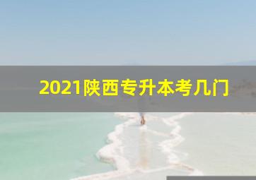 2021陕西专升本考几门