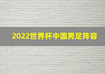 2022世界杯中国男足阵容