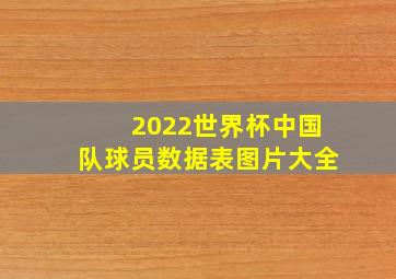 2022世界杯中国队球员数据表图片大全