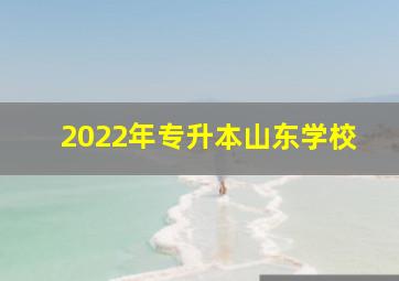 2022年专升本山东学校