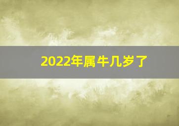 2022年属牛几岁了