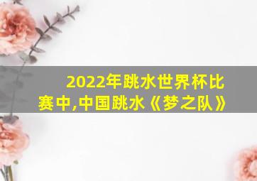 2022年跳水世界杯比赛中,中国跳水《梦之队》