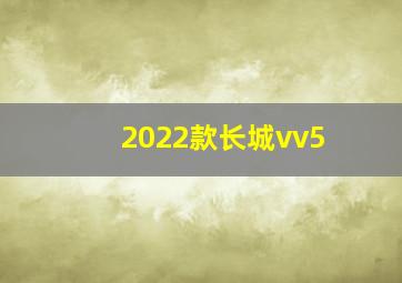 2022款长城vv5