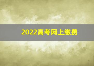 2022高考网上缴费