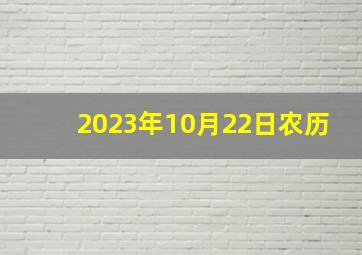 2023年10月22日农历