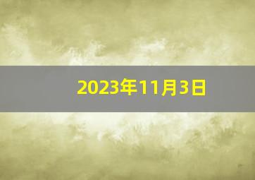 2023年11月3日