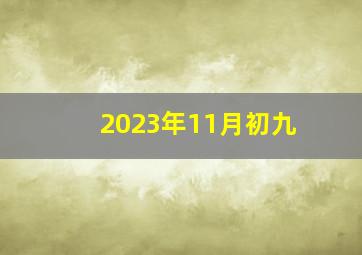 2023年11月初九