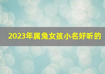 2023年属兔女孩小名好听的