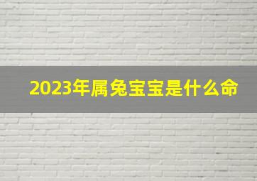 2023年属兔宝宝是什么命