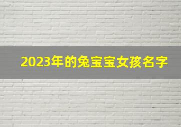 2023年的兔宝宝女孩名字