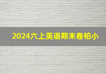 2024六上英语期末卷柏小