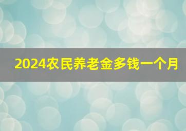 2024农民养老金多钱一个月