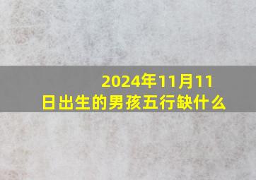 2024年11月11日出生的男孩五行缺什么