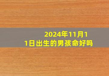 2024年11月11日出生的男孩命好吗