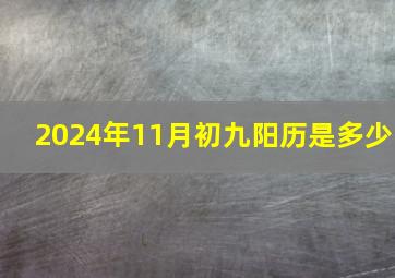 2024年11月初九阳历是多少