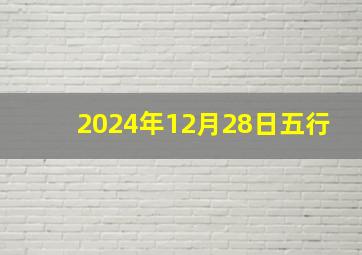 2024年12月28日五行