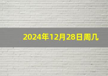 2024年12月28日周几