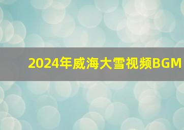 2024年威海大雪视频BGM