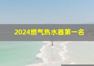 2024燃气热水器第一名