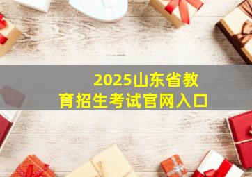 2025山东省教育招生考试官网入口