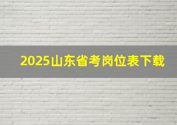 2025山东省考岗位表下载