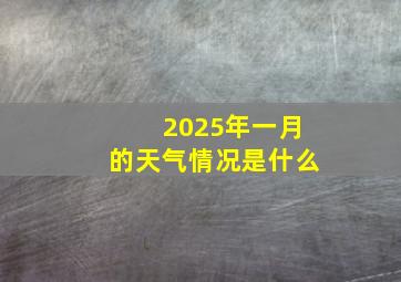 2025年一月的天气情况是什么