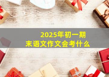 2025年初一期末语文作文会考什么