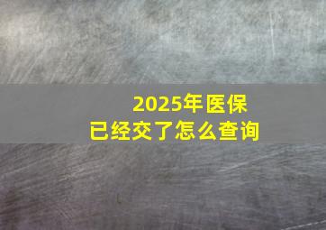 2025年医保已经交了怎么查询