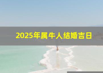 2025年属牛人结婚吉日