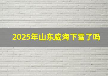 2025年山东威海下雪了吗