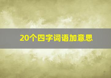 20个四字词语加意思