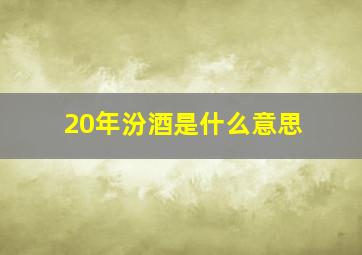 20年汾酒是什么意思