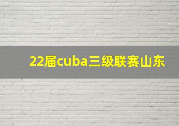 22届cuba三级联赛山东