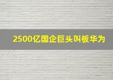 2500亿国企巨头叫板华为