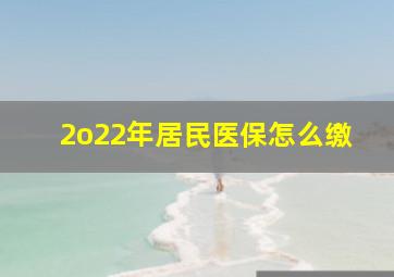 2o22年居民医保怎么缴