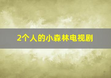 2个人的小森林电视剧