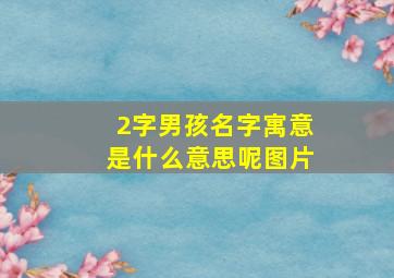 2字男孩名字寓意是什么意思呢图片