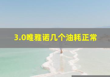 3.0唯雅诺几个油耗正常