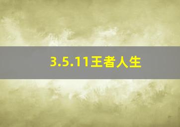 3.5.11王者人生