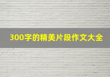 300字的精美片段作文大全