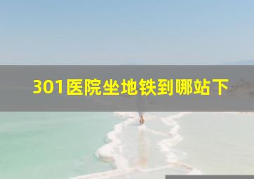 301医院坐地铁到哪站下