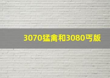 3070猛禽和3080丐版