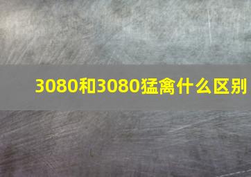 3080和3080猛禽什么区别