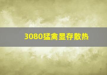 3080猛禽显存散热