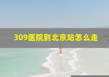 309医院到北京站怎么走