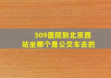 309医院到北京西站坐哪个是公交车去的