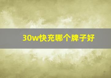 30w快充哪个牌子好