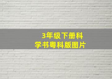 3年级下册科学书粤科版图片